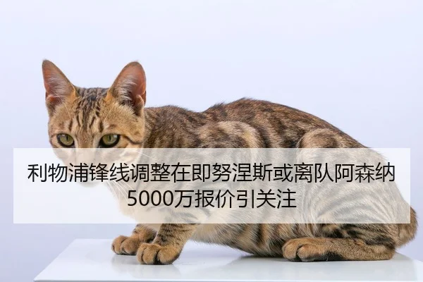 利物浦锋线调整在即努涅斯或离队阿森纳5000万报价引关注
