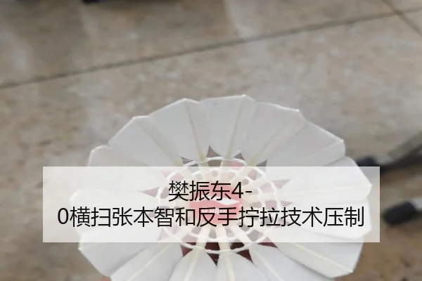 fan-zhen-dong-heng-sao-zhang-ben-zhi-he-fan-shou-ning-la-ji-shu-ya-zhi-2-695.jpg